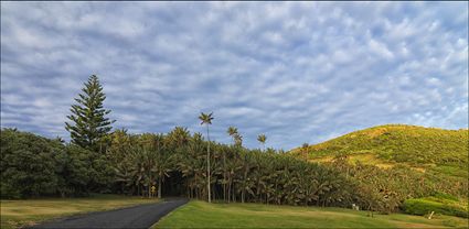 Ned's Beach Drive - Lord Howe Island - NSW T (PBH4 00 11682)